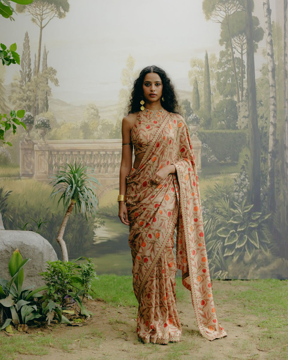 Biscuit Brown Saree - MARKET
