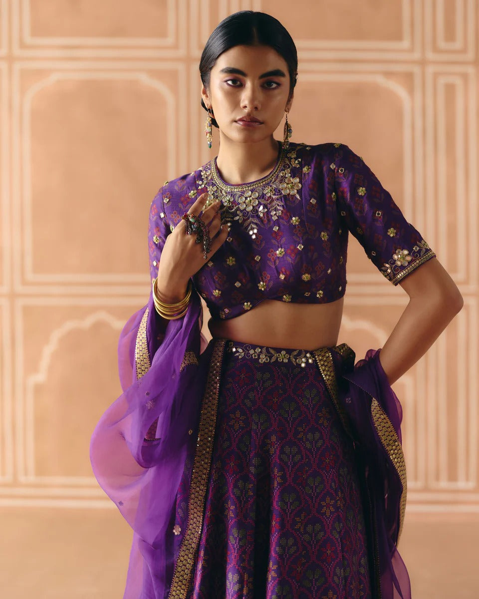 Imperial Violet Panel Lehenga - MARKET