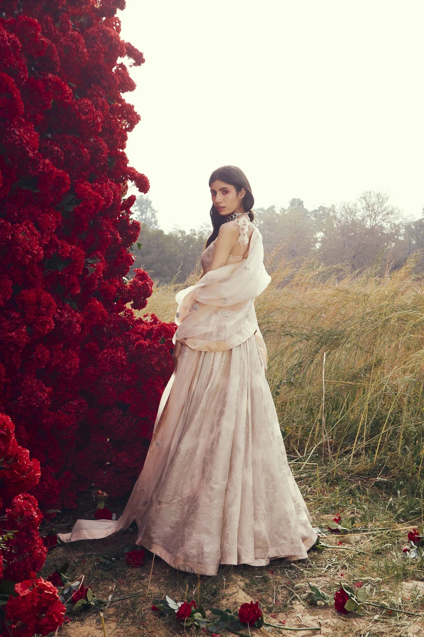 Champagne Tara Lehenga Set - MARKET