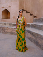 Tara Pre Draped Saree - MARKET