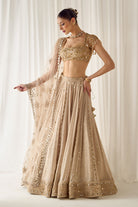 Biege Mukaish and Mirrorwork Lehenga Set - MARKET