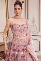 Champagne Rose Lehenga With Corset Set - MARKET